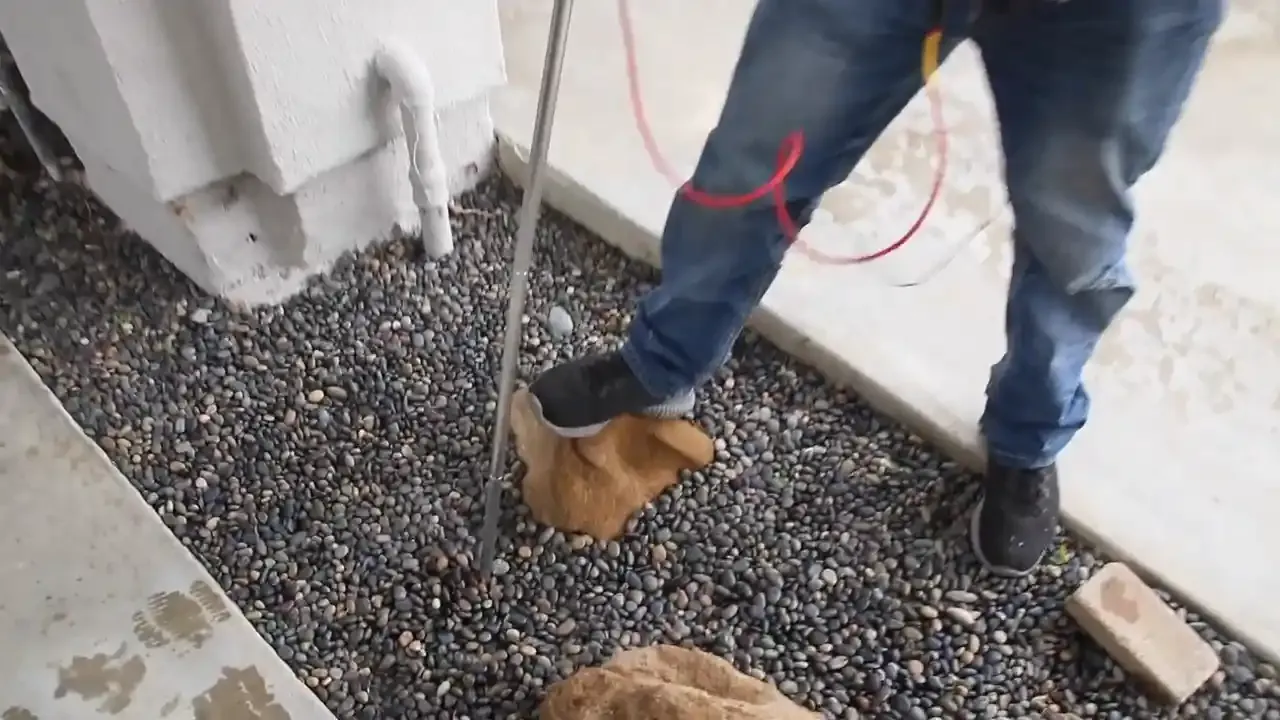 Irrigation Leak Detection & Repair in Placentia, CA | North Orange County leak specialists
