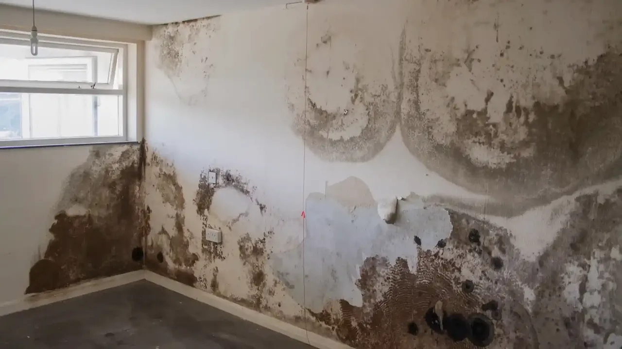 Wall Leak Detection & Repair in Placentia, CA | North Orange County leak specialists